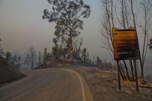 Incêndios: Situação nas termas de Monchique gera 'grande preocupação'
