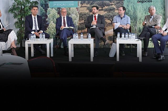 Debate: “Indústria do papel promove floresta sustentável”