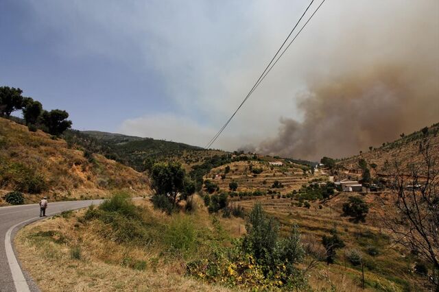 Incêndios: Vários locais da EN266 e EN267 em Monchique cortados ao trânsito