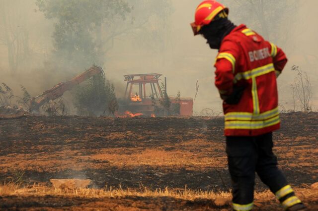 Incêndios: Câmara de Monchique quer 'plano estratégico forte' e pede 'desburocratização'
