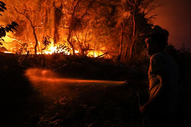 Indústria do papel perdeu 10 vezes mais área nos fogos de 2017