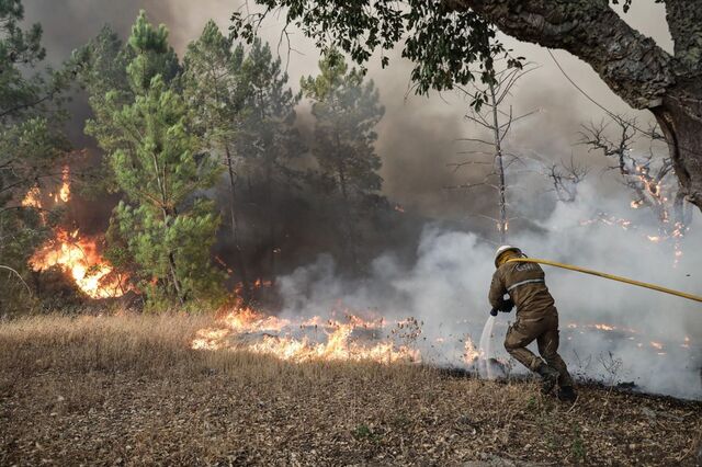 Incêndios de 2017 atiram despesa em ambiente para máximos
