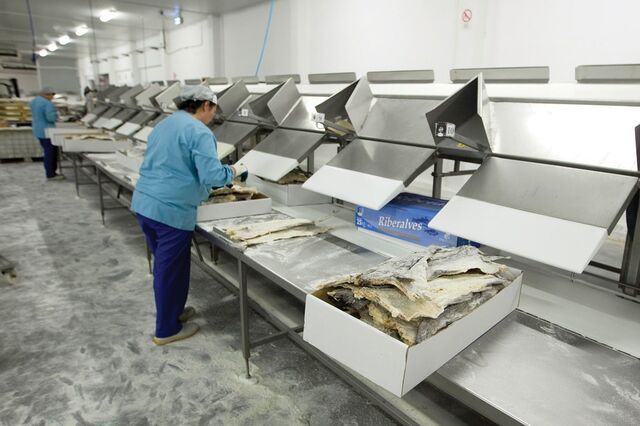 Turistas comem o bacalhau que os portugueses deixaram de poder pagar
