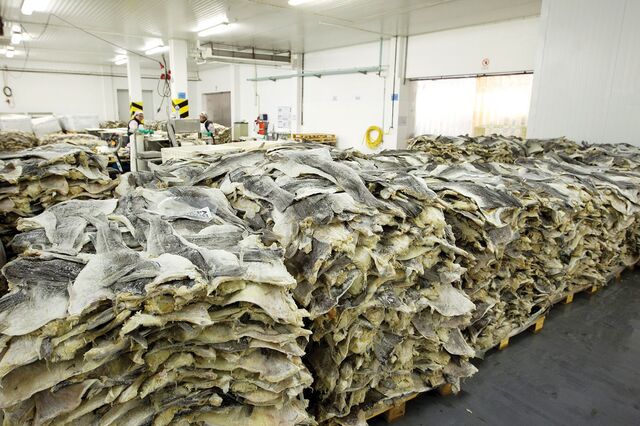 Portugal vai pescar menos bacalhau na Noruega este ano 