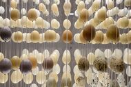 galeria da biodiversidade, universidade do porto