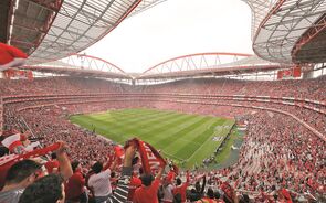 Estádio da Luz vai ter uma assistência idêntica à da temporada passada (61 996) 
