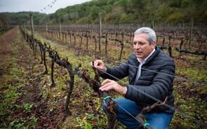 casimiro gomes, lusovini