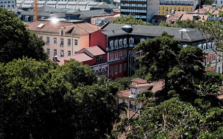 Assembleia Municipal trava processo imobiliário na Avenida da Liberdade