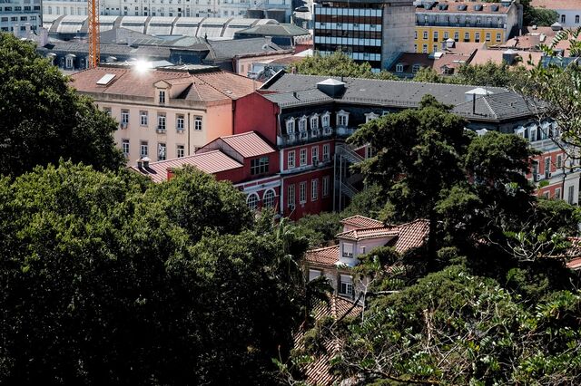 Assembleia Municipal trava processo imobiliário na Avenida da Liberdade