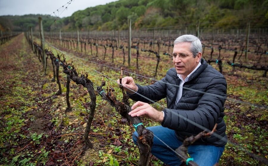 casimiro gomes, lusovini