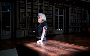 Maria Salomé Pais: “A Academia das Ciências de Lisboa é um tesouro escondido”