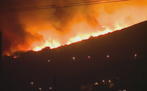 Incêndio na Serra de Sintra mobiliza quase 250 bombeiros. Situação muito preocupante