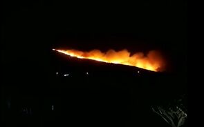 Incêndio na Serra de Sintra põe em risco parque natural