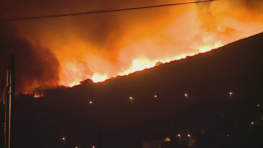 Incêndio na Serra de Sintra mobiliza quase 250 bombeiros. Situação muito preocupante