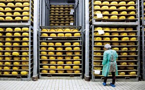 Desabafos sobre o mundo do queijo 