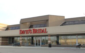 David's Bridal