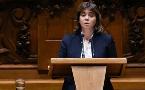 catarina.mp4