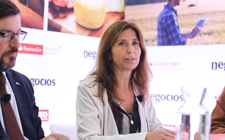 Sector agro-alimentar vai ter mais peso no crédito