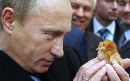 Putin ressuscita super-frango russo