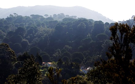 Governo cria empréstimos bonificados para incentivar emparcelamento de terras 