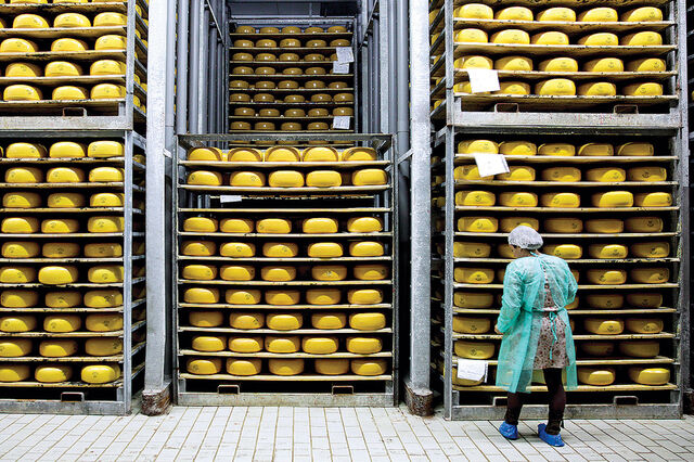 Desabafos sobre o mundo do queijo 