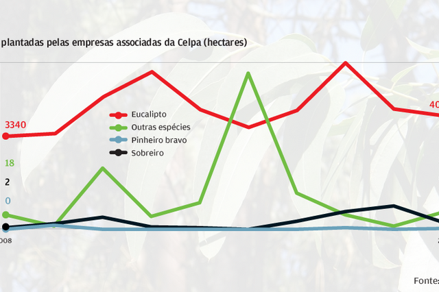 Como evoluiu a indústria da pasta e papel em 10 anos