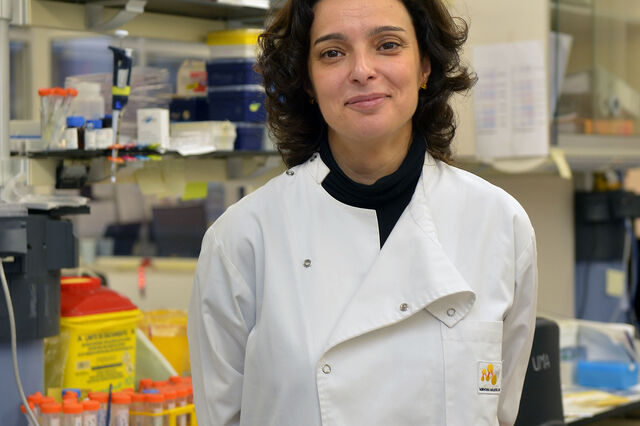 Instituto de Medicina Molecular prepara novos testes para diagnosticar Covid-19