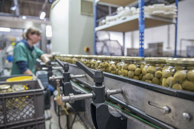 Espanhóis fornecem azeitona do Alentejo e ficam com 5% da Maçarico