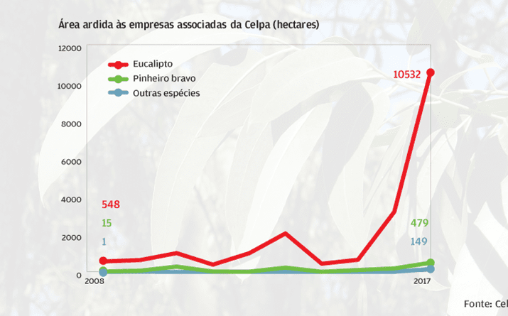 12,3 mil hectares ardidos em 2017