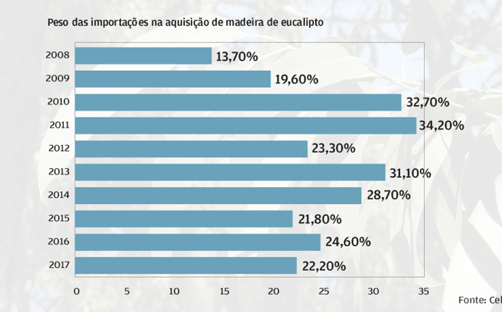 Importações de eucalipto caíram