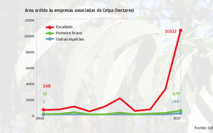 12,3 mil hectares ardidos em 2017