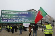 coletes amarelos