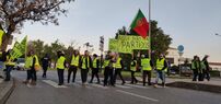 coletes amarelos