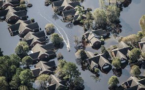 Clima extremo matou mais de 140 mil europeus em 40 anos