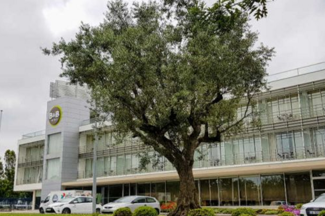 B&B quer abrir cinco hotéis em Portugal até 2020