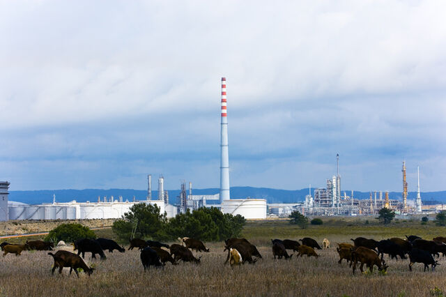 Os planos das empresas do setor para o desenvolvimento do hidrogénio verde