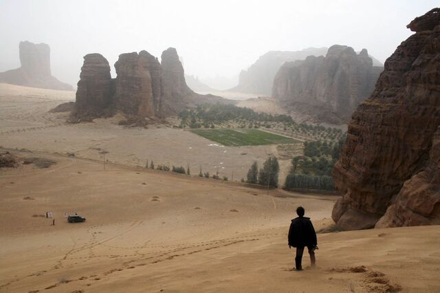 Sotheby’s e Arábia Saudita estudam construir oásis de arte no deserto