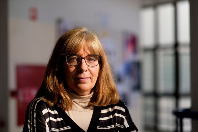 Maria de Lurdes Rosa: A ideia de progresso em História deve ser muito relativizada