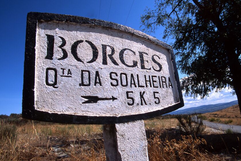 borges, soalheira, douro, vinho,