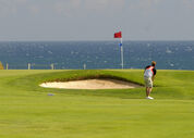 vale lobo golf