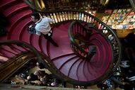 livraria lello, livros, cultura, porto, turismo