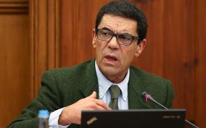 Nuno Ribeiro da Silva, Endesa
