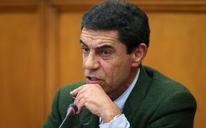 Nuno Ribeiro da Silva, Endesa