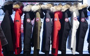 Canada Goose