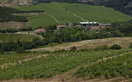 Sogrape entra em Lisboa com aquisição da Quinta da Romeira