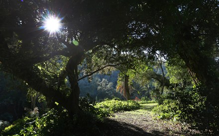 Parques de Sintra: Licença para conservar