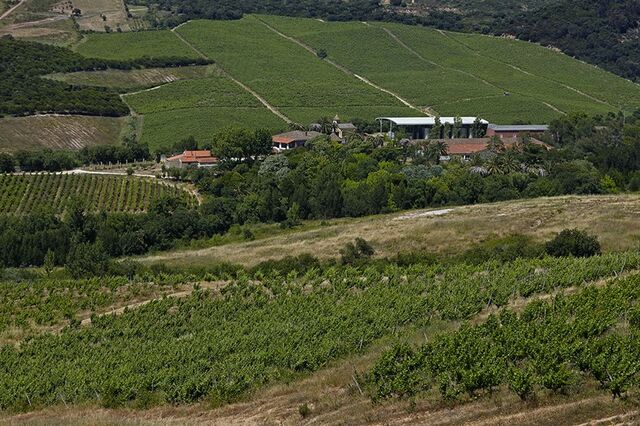 Sogrape entra em Lisboa com aquisição da Quinta da Romeira