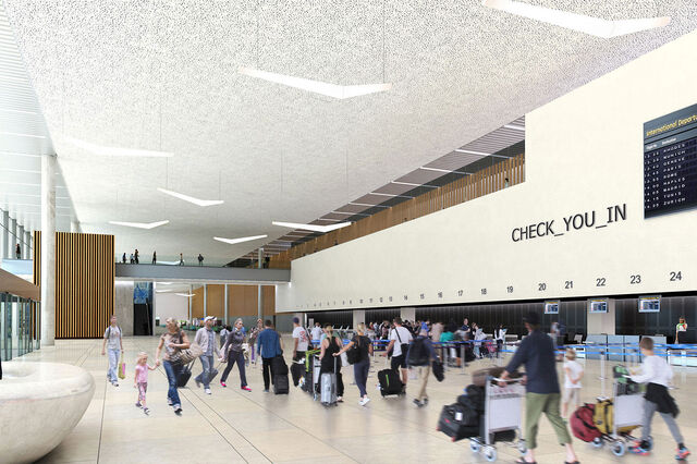 Estudo de Impacte Ambiental do aeroporto do Montijo aponta efeitos negativos na avifauna e ruído   