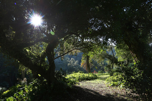 Parques de Sintra: Licença para conservar