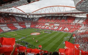 SAD do Benfica não vai a julgamento no caso e-toupeira